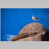 2015_10_12_0956_Essaouira-Old_Fortress_IMG_6125_72dpi.jpg